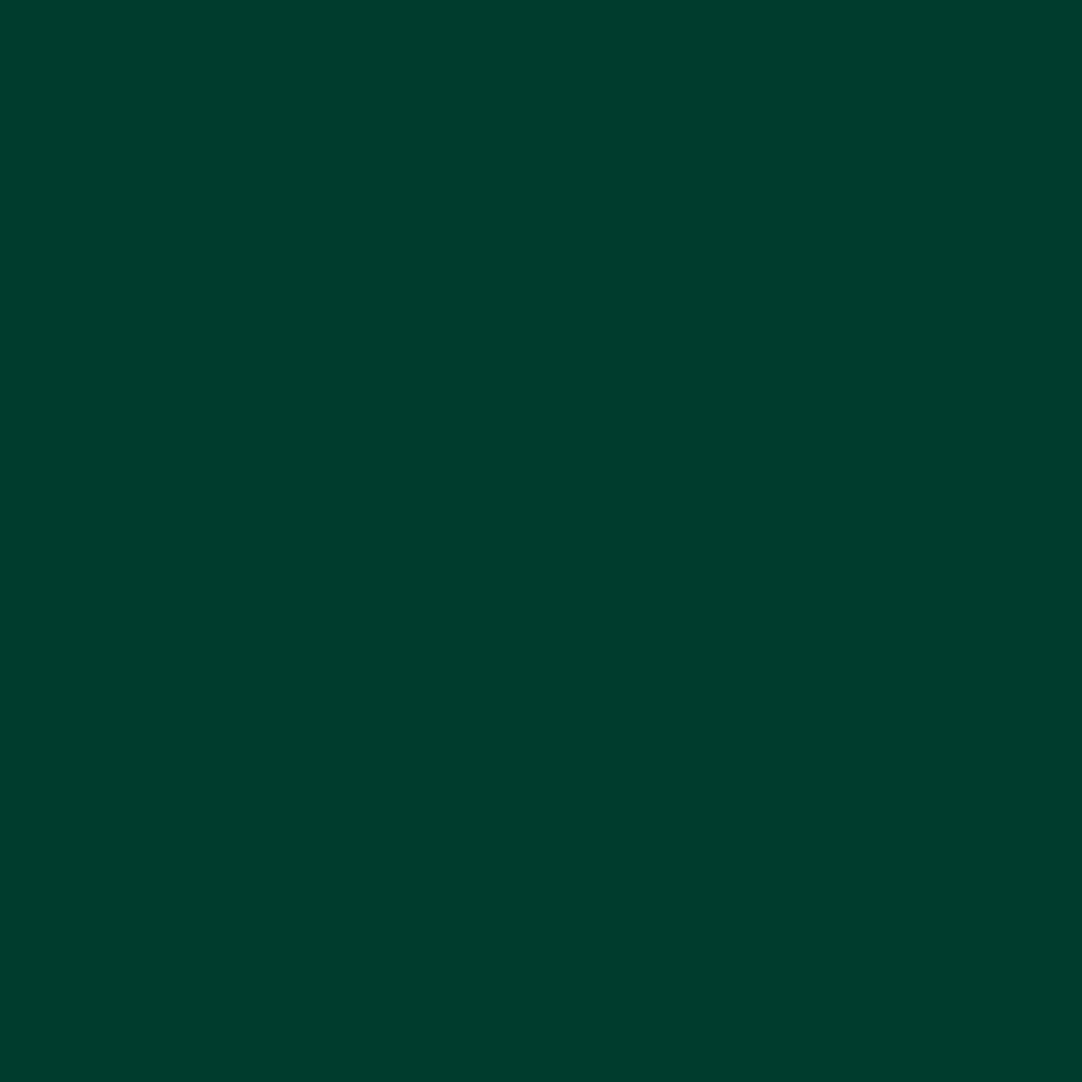 Gutermann Sew All Thread 100m - 785 Bench Green Detail Gutermann Sew All Thread 100m - 785 Bench Green Detail