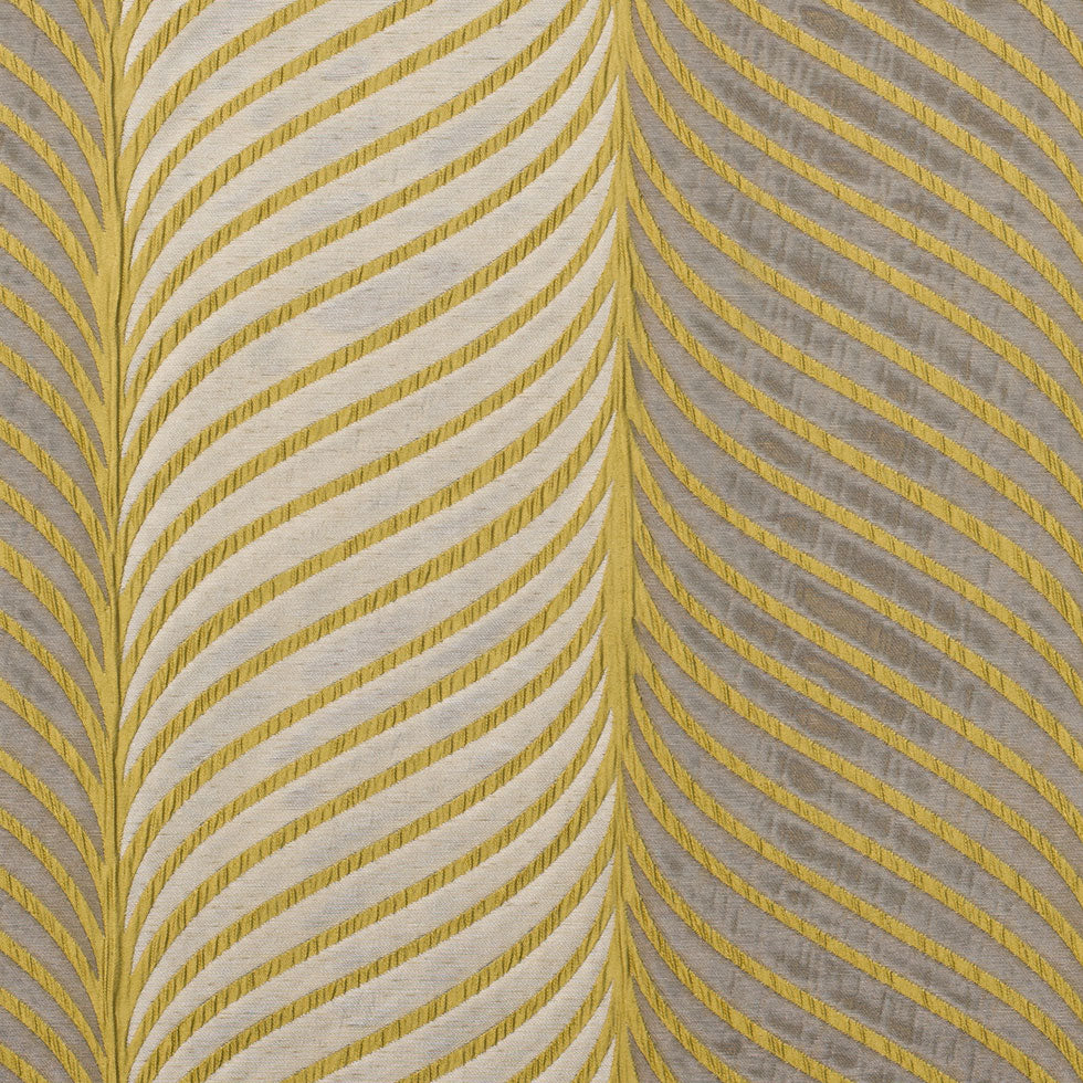 Gold Classical Poly Gold Classical Poly