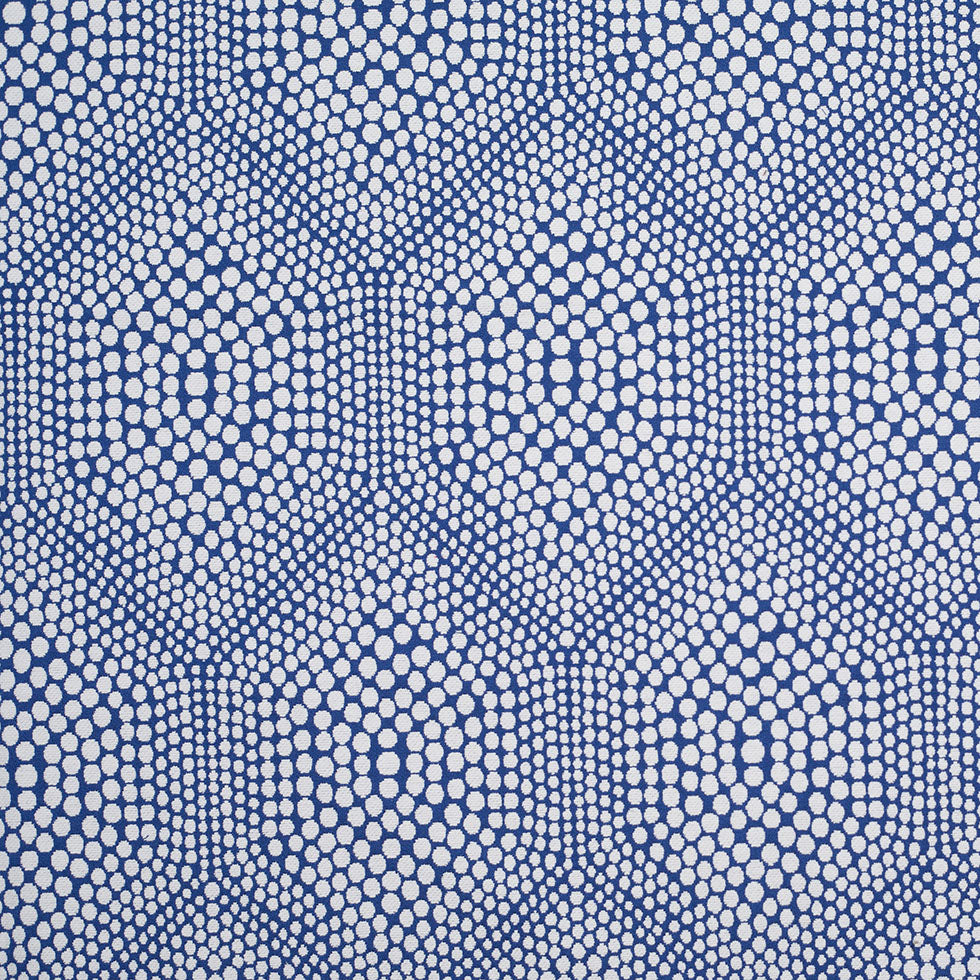 Blue Heavyweight Dotted Cotton Jacquard Blue Heavyweight Dotted Cotton Jacquard