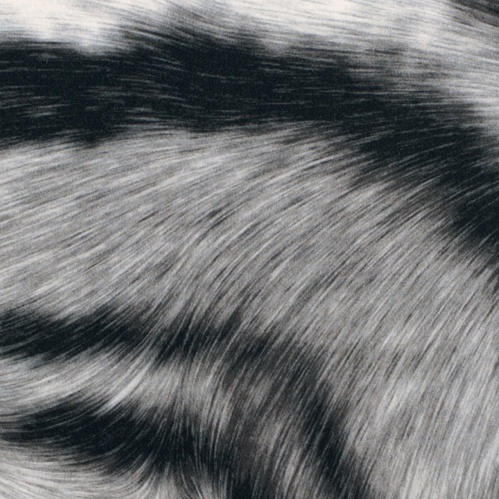 Black/White Zebra Printed Micro-Polyester and Cotton Detail Black/White Zebra Printed Micro-Polyester and Cotton Detail