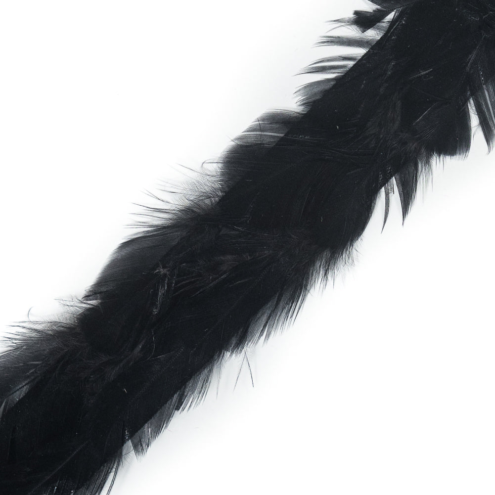 Black Hen Feather Trimming - 1 - Detail Black Hen Feather Trimming - 1 - Detail