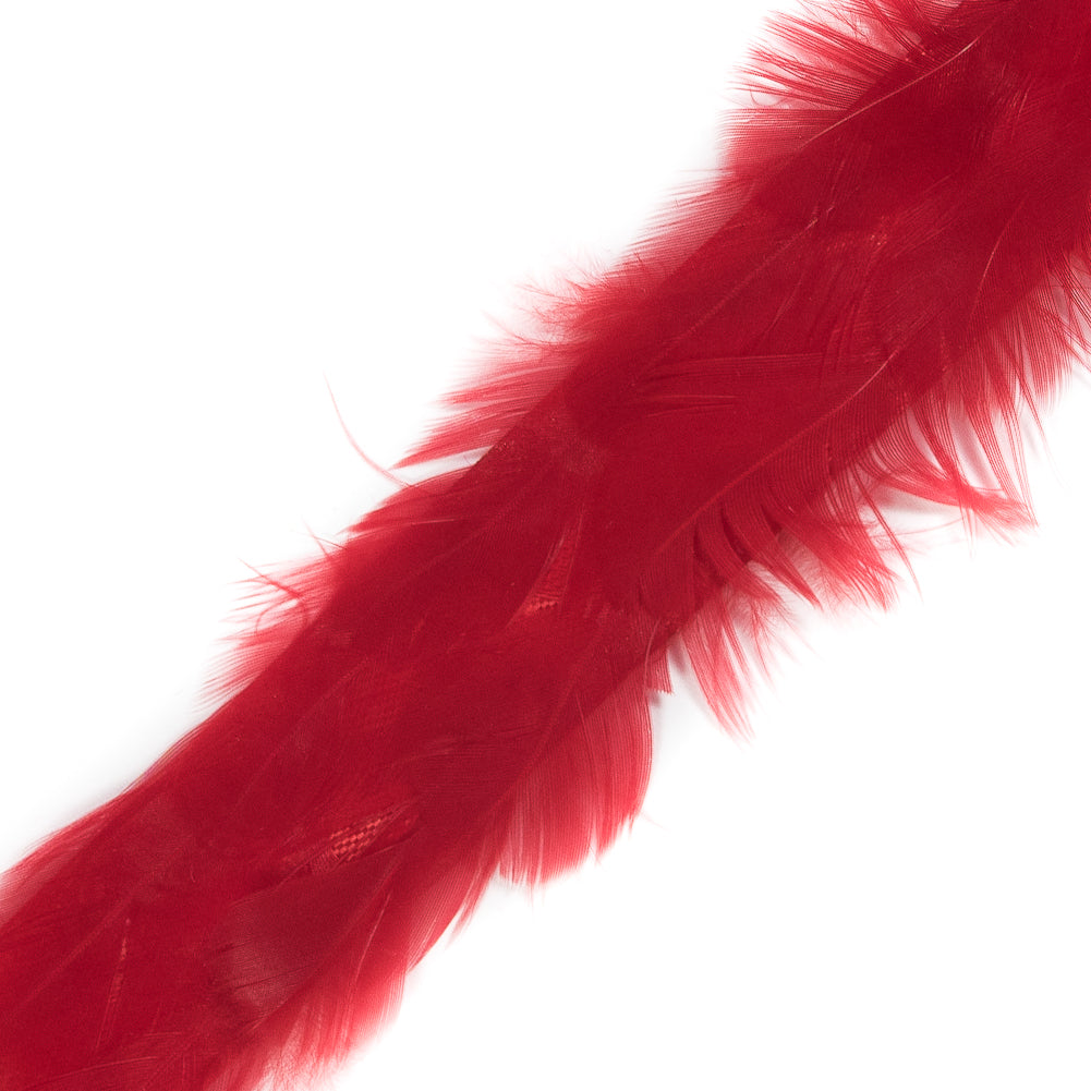 Red Hen Feather Trimming - 1" Detail Red Hen Feather Trimming - 1" Detail