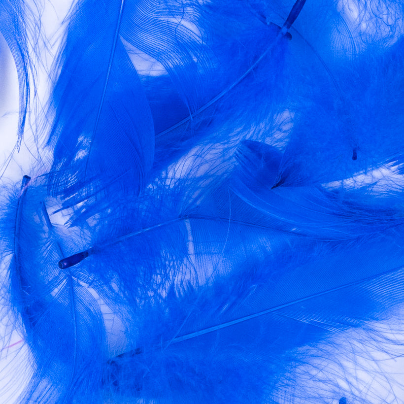 Blue 5 Gram Bag of Feathers Detail Blue 5 Gram Bag of Feathers Detail