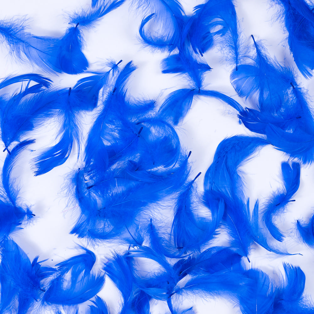 Blue 5 Gram Bag of Feathers Blue 5 Gram Bag of Feathers