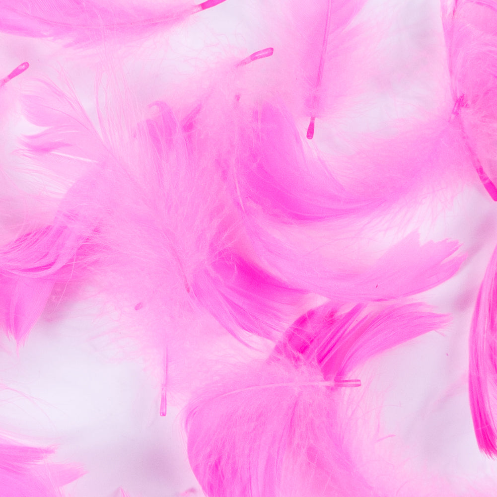 Pink 5 Gram Bag of Feathers Detail Pink 5 Gram Bag of Feathers Detail