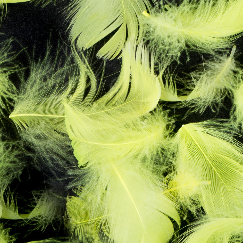 Yellow 5 Gram Bag of Feathers - Detail Yellow 5 Gram Bag of Feathers - Detail
