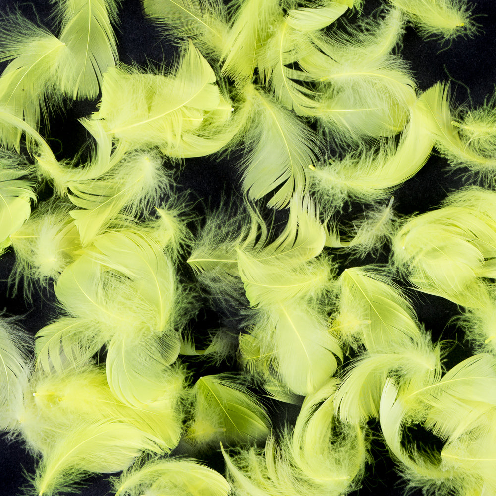 Yellow 5 Gram Bag of Feathers Yellow 5 Gram Bag of Feathers