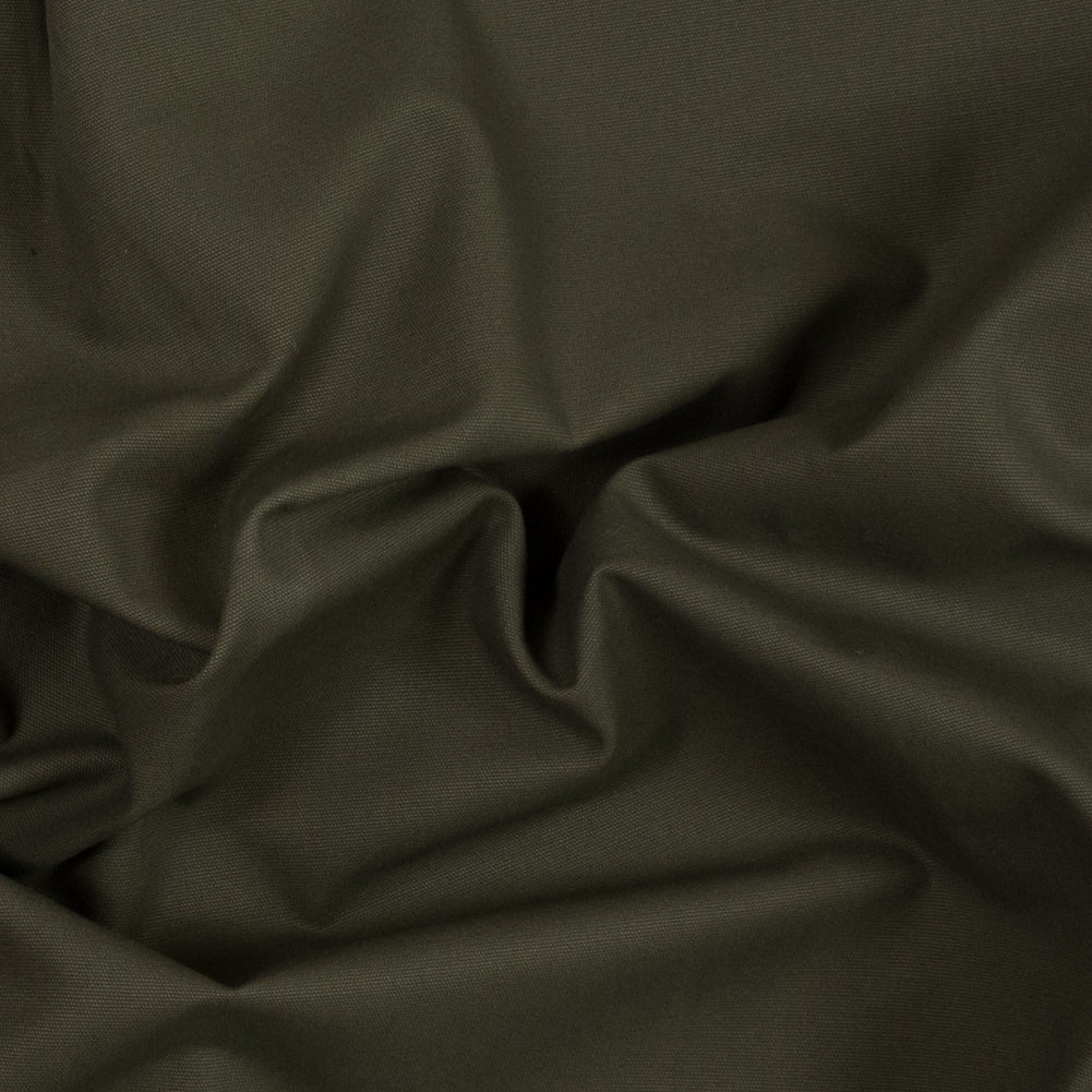 Loden Green Cotton Canvas Loden Green Cotton Canvas