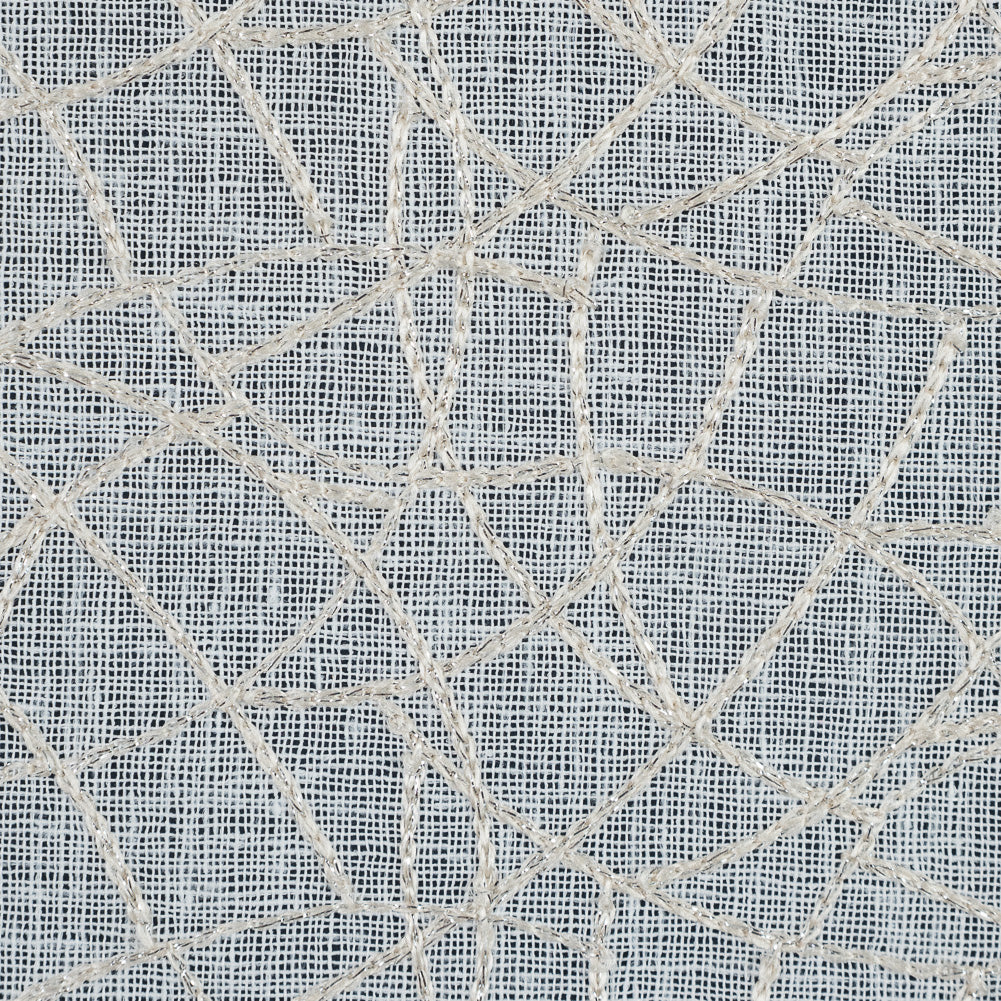 Beige and Metallic Silver Embroidered Drapery Sheer Detail Beige and Metallic Silver Embroidered Drapery Sheer Detail