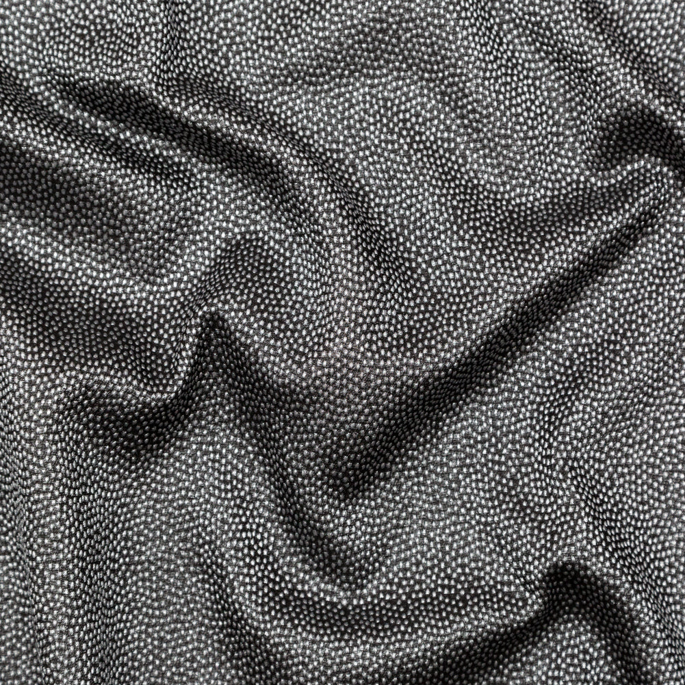 Metallic Silver on Black Abstract Luxury Brocade Metallic Silver on Black Abstract Luxury Brocade