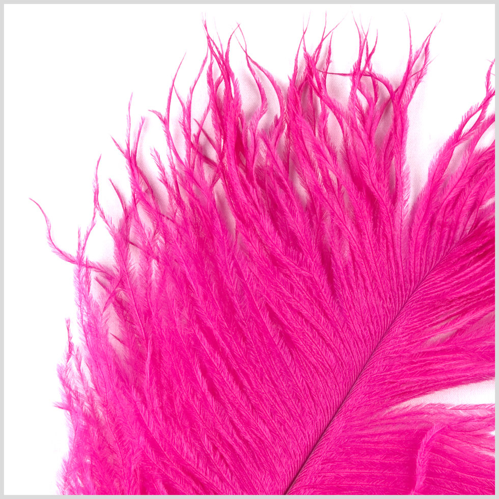 Hot Pink Ostrich Feather - 10-12 - Detail Hot Pink Ostrich Feather - 10-12 - Detail