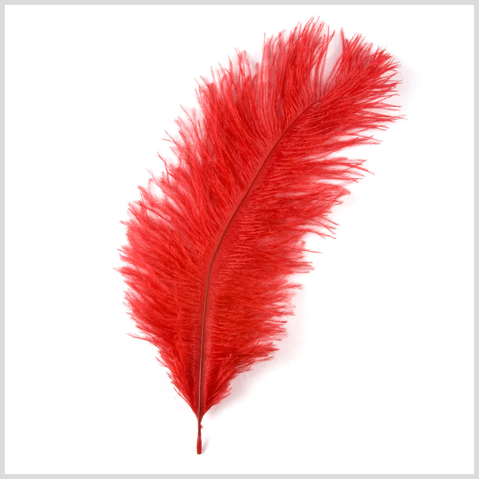 Red Ostrich Feather - 10-12 Red Ostrich Feather - 10-12