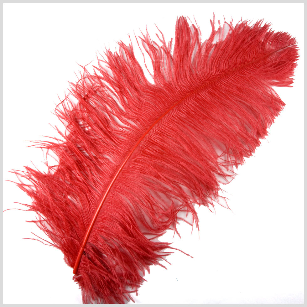18"-21" Red Ostrich Feather 18"-21" Red Ostrich Feather
