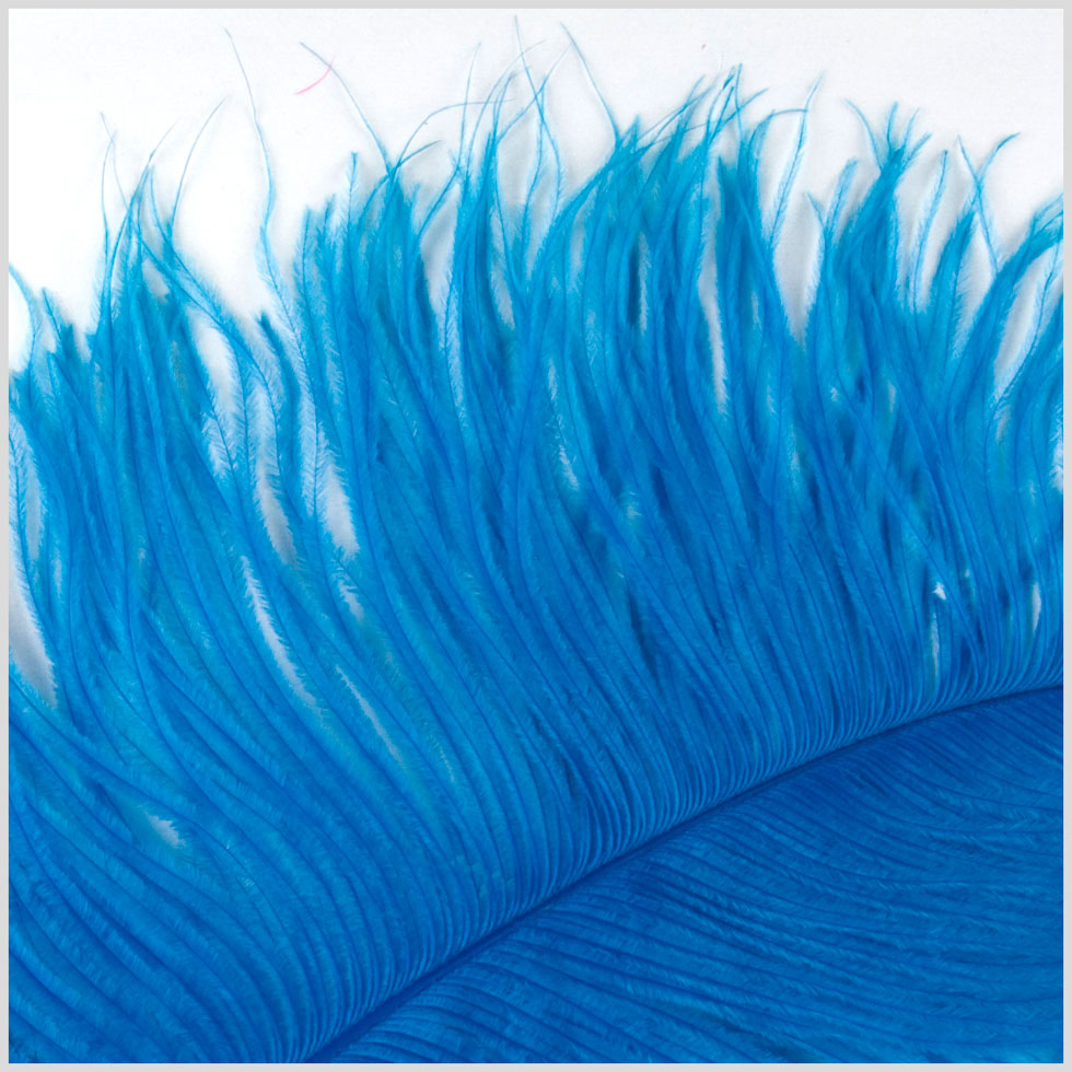 18-21 Turquoise Ostrich Feather - Detail 18-21 Turquoise Ostrich Feather - Detail