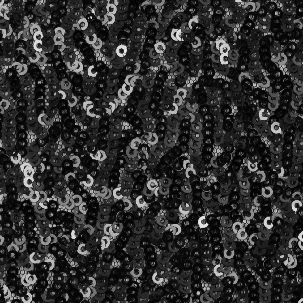 Black Solid Baby Sequins on Mesh Detail Black Solid Baby Sequins on Mesh Detail
