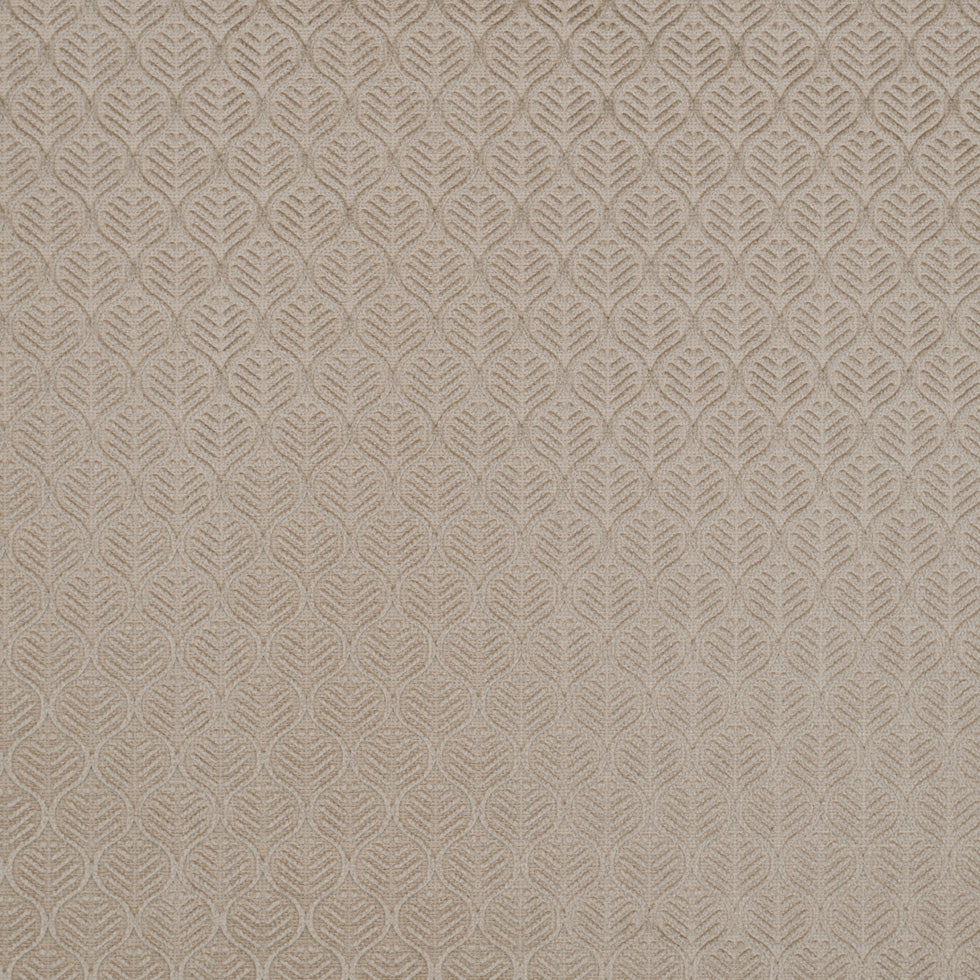 Champagne Geometric Cut Velvet Champagne Geometric Cut Velvet