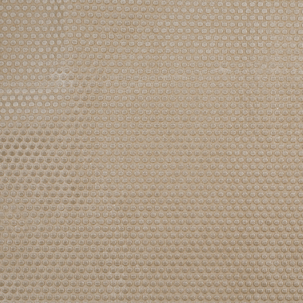 Warm Beige Dotted Cut Velvet Warm Beige Dotted Cut Velvet