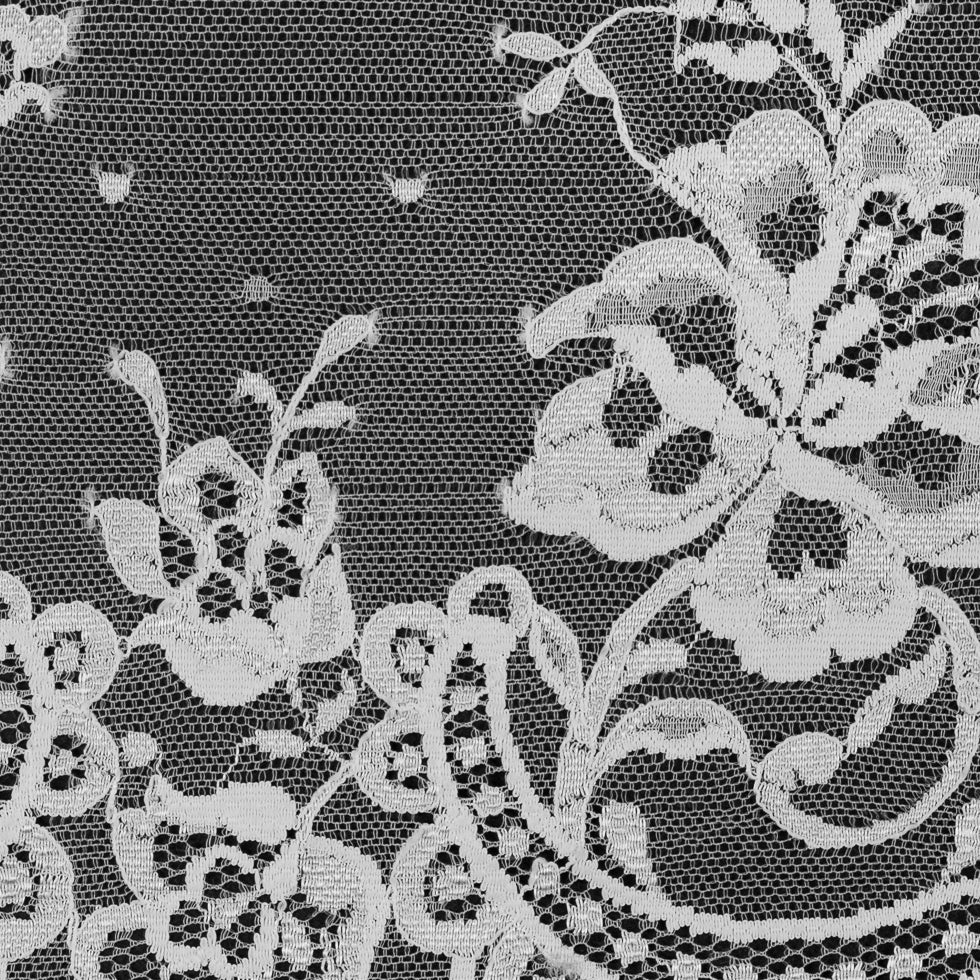 Off-White Floral Lace Trimming - 6.5 - Detail Off-White Floral Lace Trimming - 6.5 - Detail