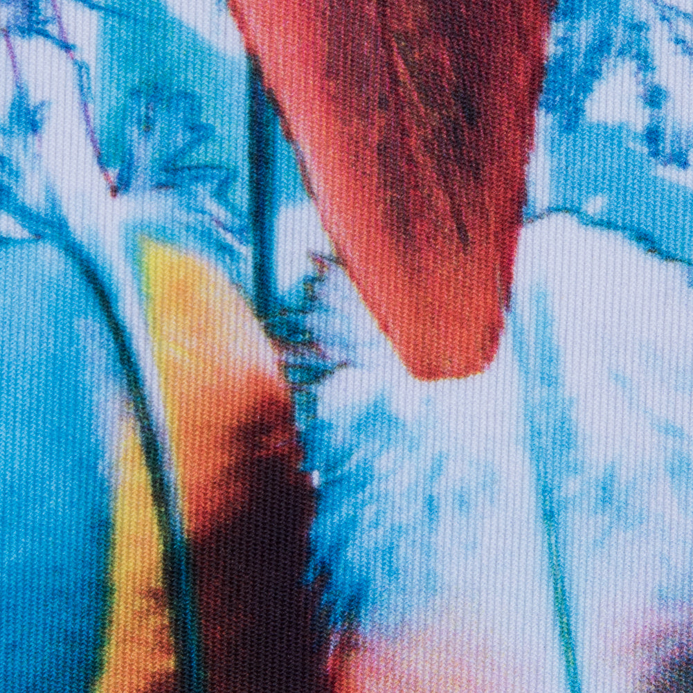 Compression Swimwear Tricot, UV Protective with Aloe Vera Microcapsules - Blue/Red Feather - Caye Collection Full Compression Swimwear Tricot, UV Protective with Aloe Vera Microcapsules - Blue/Red Feather - Caye Collection Full