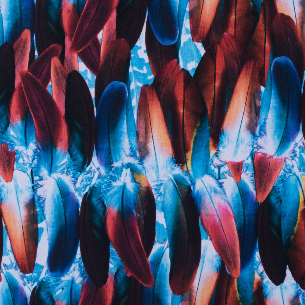 Compression Swimwear Tricot, UV Protective with Aloe Vera Microcapsules - Blue/Red Feather - Caye Collection Compression Swimwear Tricot, UV Protective with Aloe Vera Microcapsules - Blue/Red Feather - Caye Collection