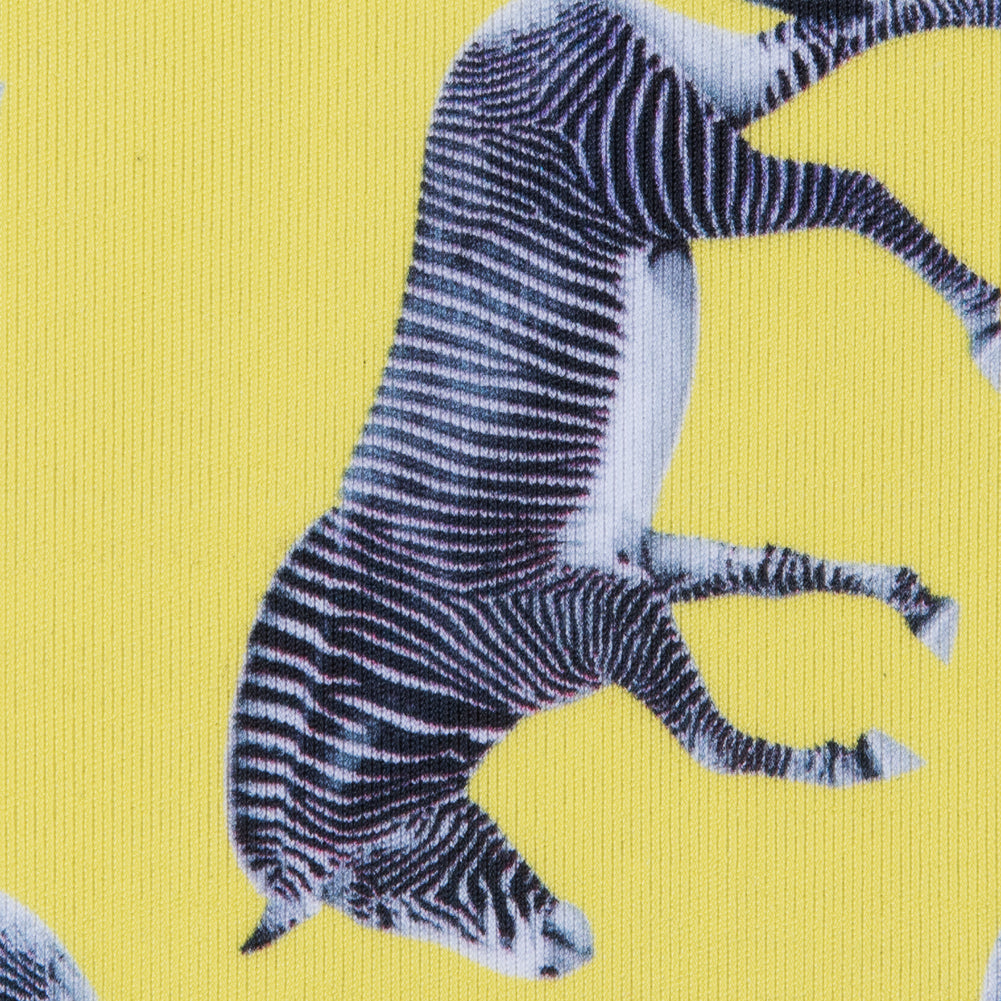 Compression Swimwear Tricot, UV Protective with Aloe Vera Microcapsules - Yellow Zebras - Caye Collection Full Compression Swimwear Tricot, UV Protective with Aloe Vera Microcapsules - Yellow Zebras - Caye Collection Full