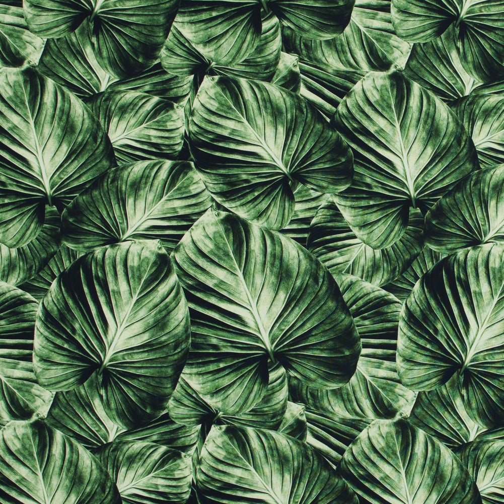 Banana Leaf Caye UV Protective Compression Swimwear Tricot with Aloe Vera Microcapsules Banana Leaf Caye UV Protective Compression Swimwear Tricot with Aloe Vera Microcapsules