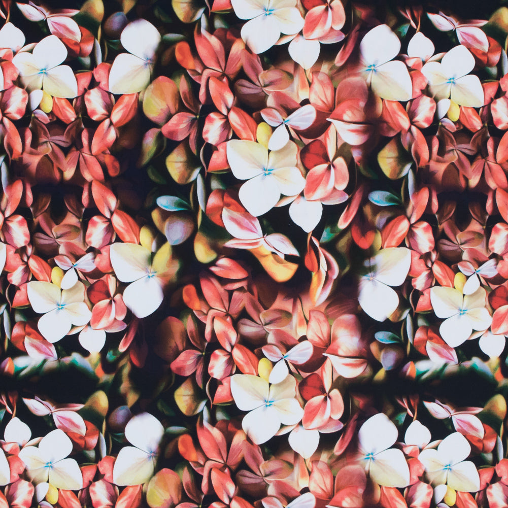 Warm Floral Caye UV Protective Compression Swimwear Tricot with Aloe Vera Microcapsules Warm Floral Caye UV Protective Compression Swimwear Tricot with Aloe Vera Microcapsules