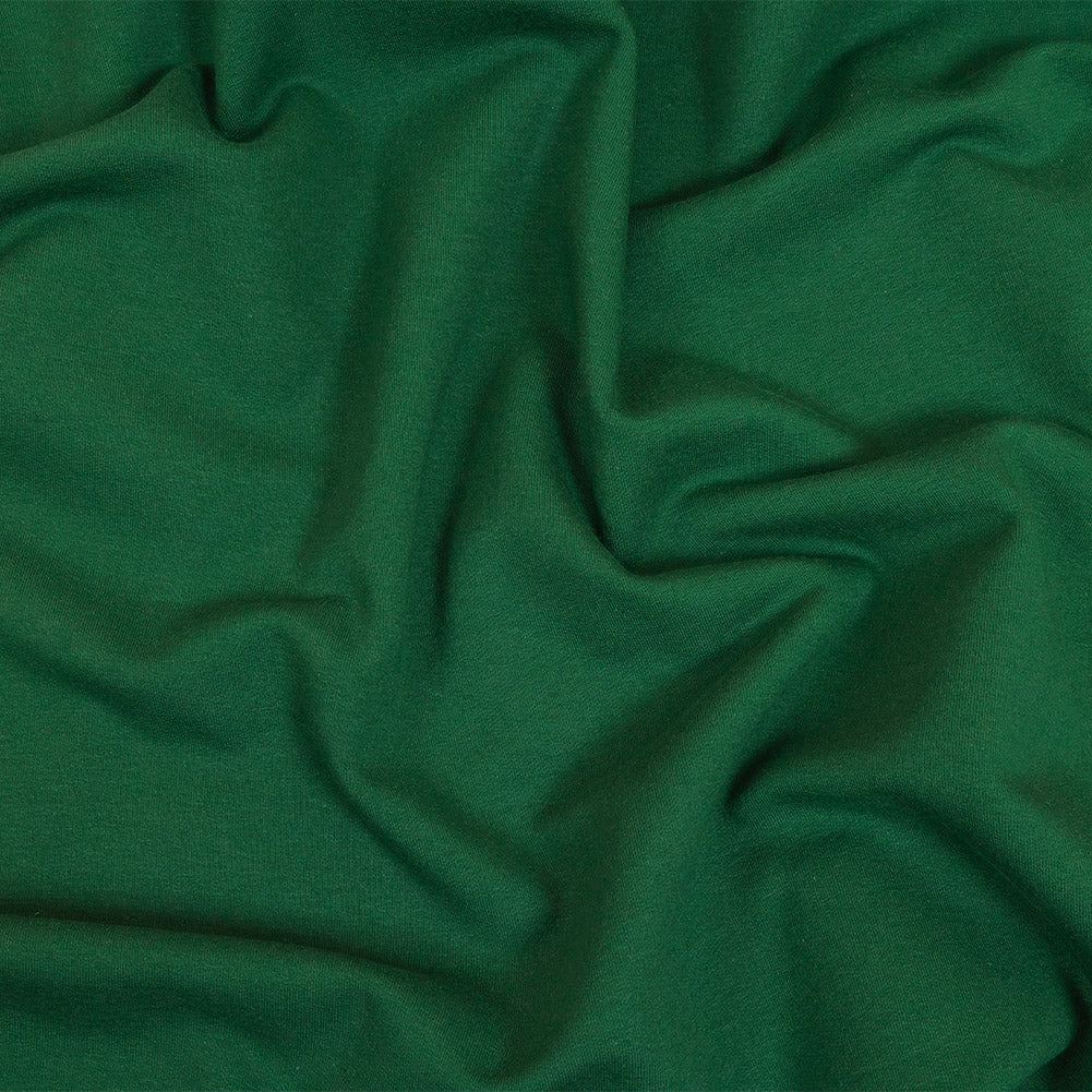 Fleece-Backed Stretch Cotton Knit - Forest Green - Cecil Collection Fleece-Backed Stretch Cotton Knit - Forest Green - Cecil Collection