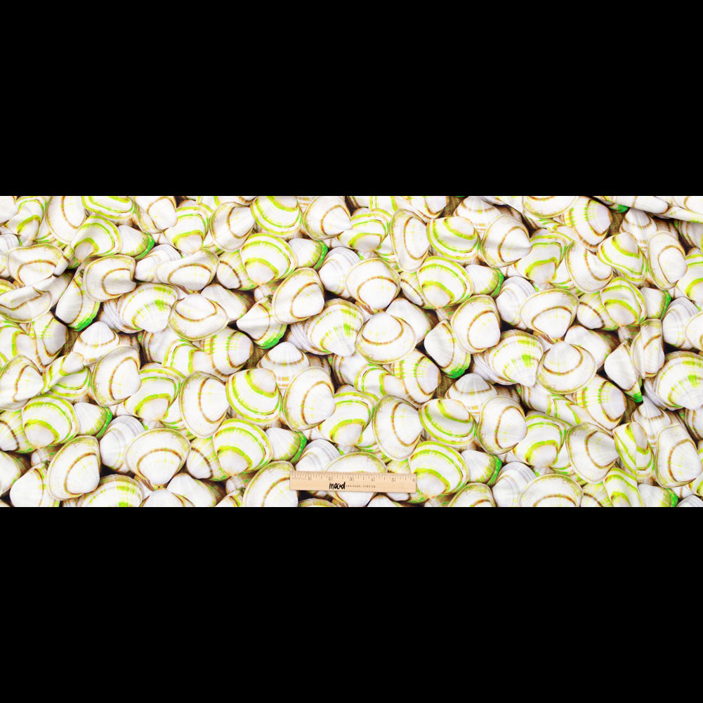 Compression Swimwear Tricot, UV Protective with Aloe Vera Microcapsules - Neon Green Shells - Caye Collection Full Compression Swimwear Tricot, UV Protective with Aloe Vera Microcapsules - Neon Green Shells - Caye Collection Full