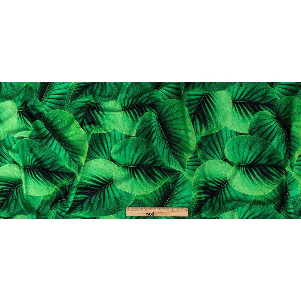 Compression Swimwear Tricot, UV Protective with Aloe Vera Microcapsules - Full Amazon Green Leaves - Caye Collection Full Compression Swimwear Tricot, UV Protective with Aloe Vera Microcapsules - Full Amazon Green Leaves - Caye Collection Full