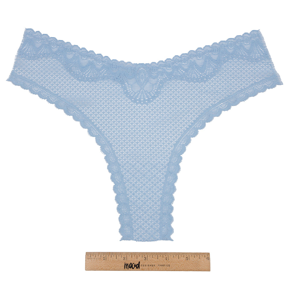 Sky Blue Stretch Lace Panty Trim Panel - 10.25" x 14.25" Full Sky Blue Stretch Lace Panty Trim Panel - 10.25" x 14.25" Full