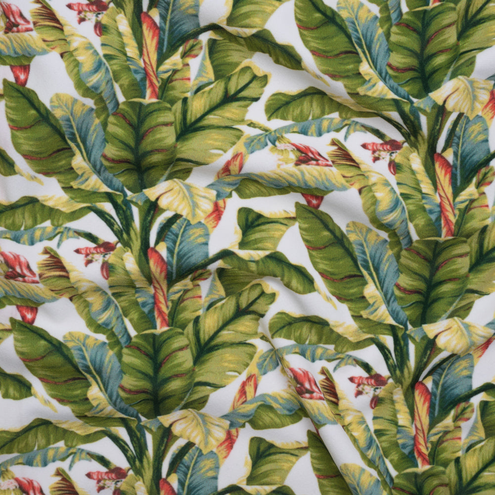 Polyester Microvelvet - White and Green Palm Trees Polyester Microvelvet - White and Green Palm Trees