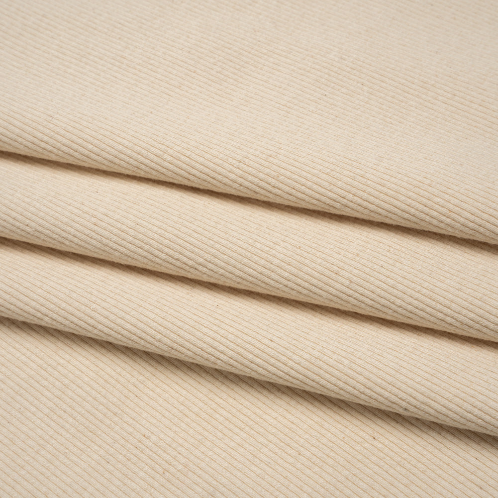 Stretch Cotton 2x2 Rib Knit - Cream - Deadstock Stretch Cotton 2x2 Rib Knit - Cream - Deadstock