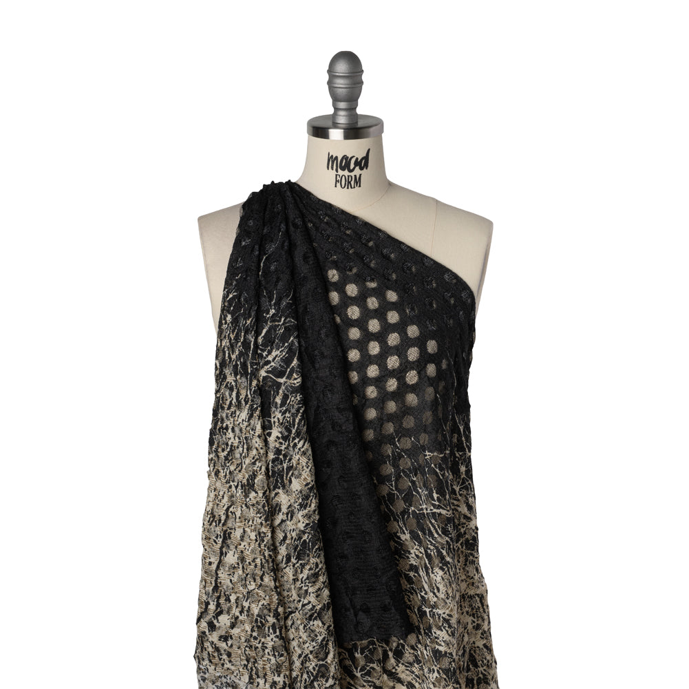 Stretch Polyester Lace Print - Black, Taupe and Beige Growing Branches Border on Polka Dots - Drape Stretch Polyester Lace Print - Black, Taupe and Beige Growing Branches Border on Polka Dots - Drape