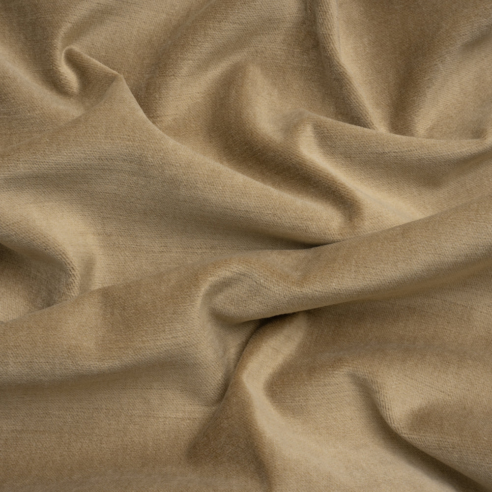 Polyester and Cotton Upholstery Velvet - Latte - Corry Collection Polyester and Cotton Upholstery Velvet - Latte - Corry Collection