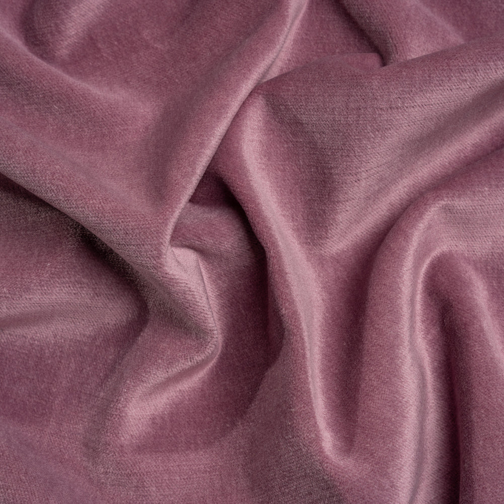 Polyester and Cotton Upholstery Velvet - Passion - Corry Collection Polyester and Cotton Upholstery Velvet - Passion - Corry Collection