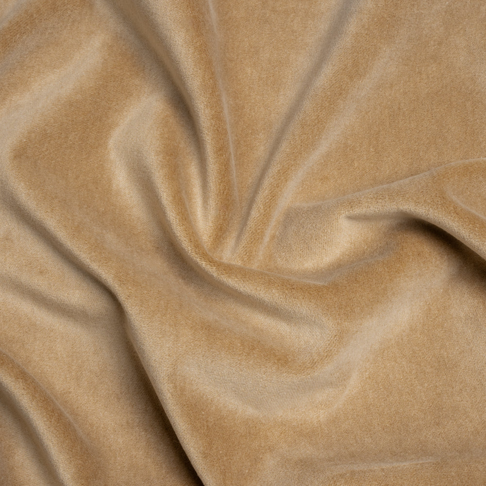 Cotton and Polyester Upholstery Velvet - Camel - Banton Collection Cotton and Polyester Upholstery Velvet - Camel - Banton Collection