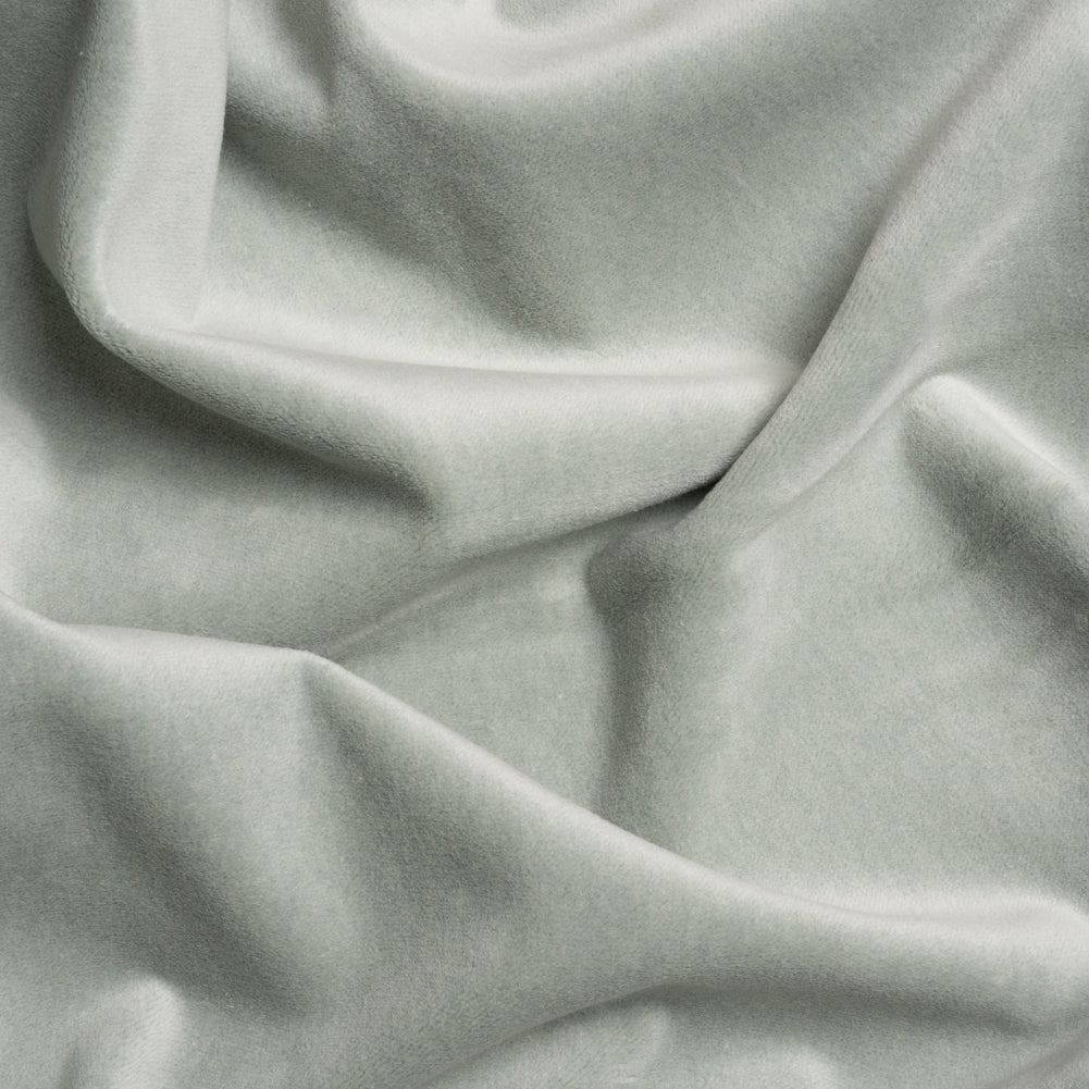 Cotton and Polyester Upholstery Velvet - Cloud - Banton Collection Cotton and Polyester Upholstery Velvet - Cloud - Banton Collection