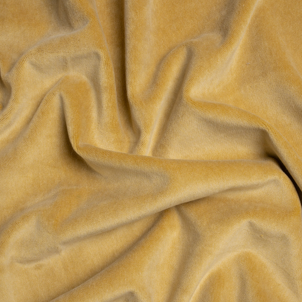 Cotton and Polyester Upholstery Velvet - Lemon - Banton Collection Cotton and Polyester Upholstery Velvet - Lemon - Banton Collection