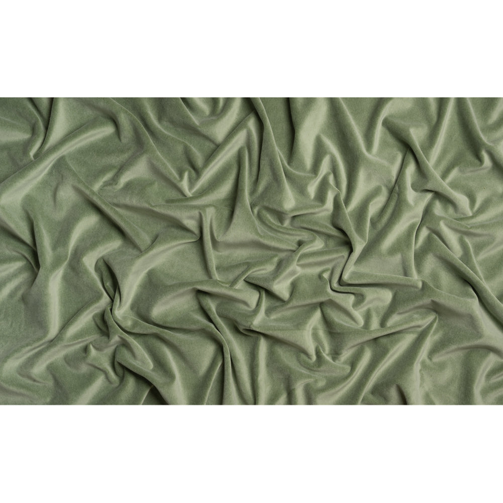 Cotton and Polyester Upholstery Velvet - Sage - Banton Collection Full Cotton and Polyester Upholstery Velvet - Sage - Banton Collection Full