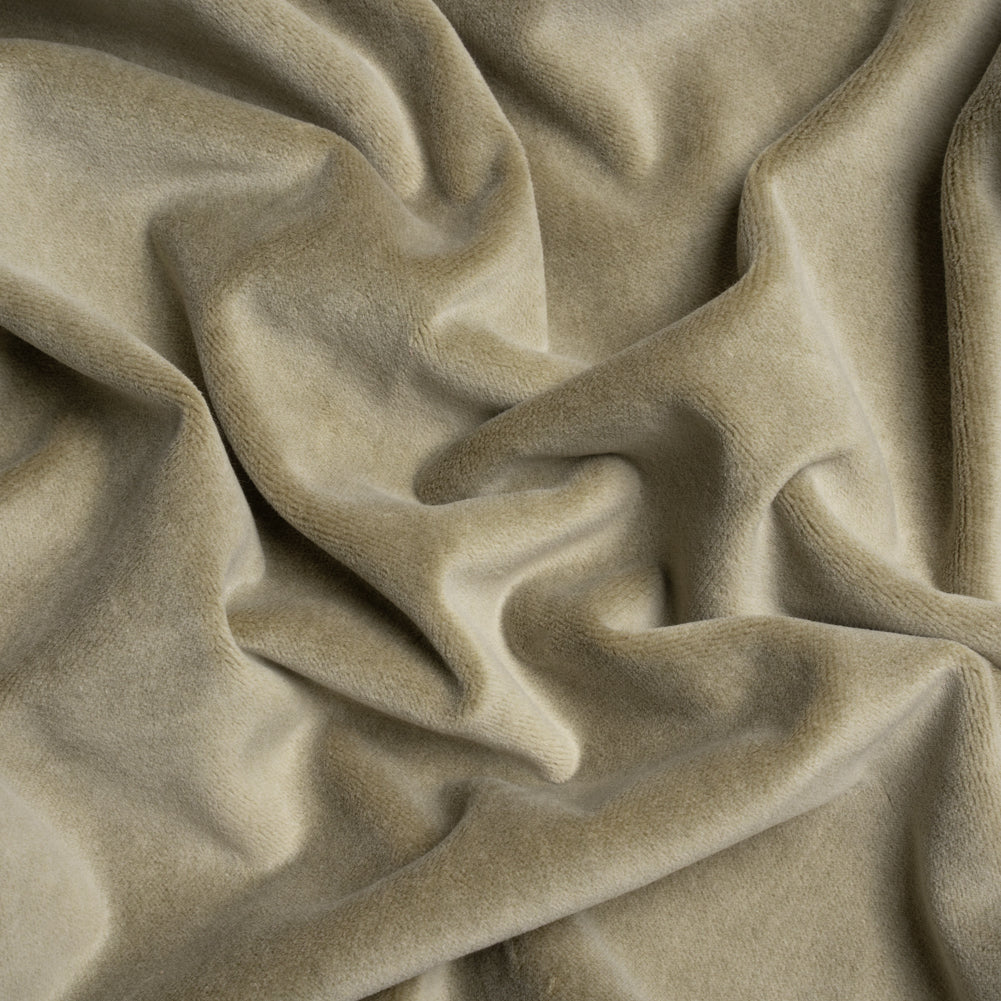 Cotton and Polyester Upholstery Velvet - Taupe - Banton Collection Cotton and Polyester Upholstery Velvet - Taupe - Banton Collection