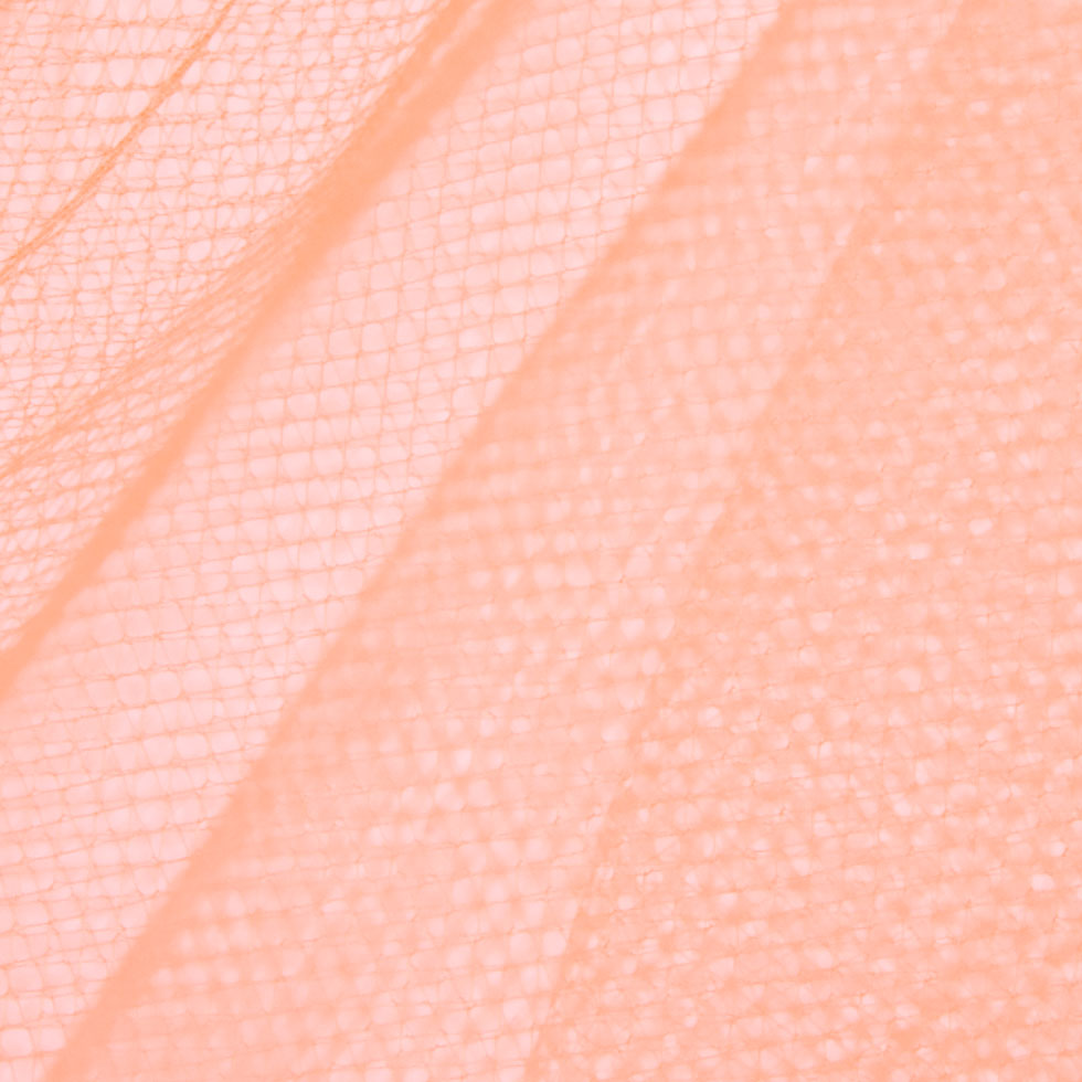 Nylon Net Tulle - Shrimp - Gianna Collection Detail Nylon Net Tulle - Shrimp - Gianna Collection Detail