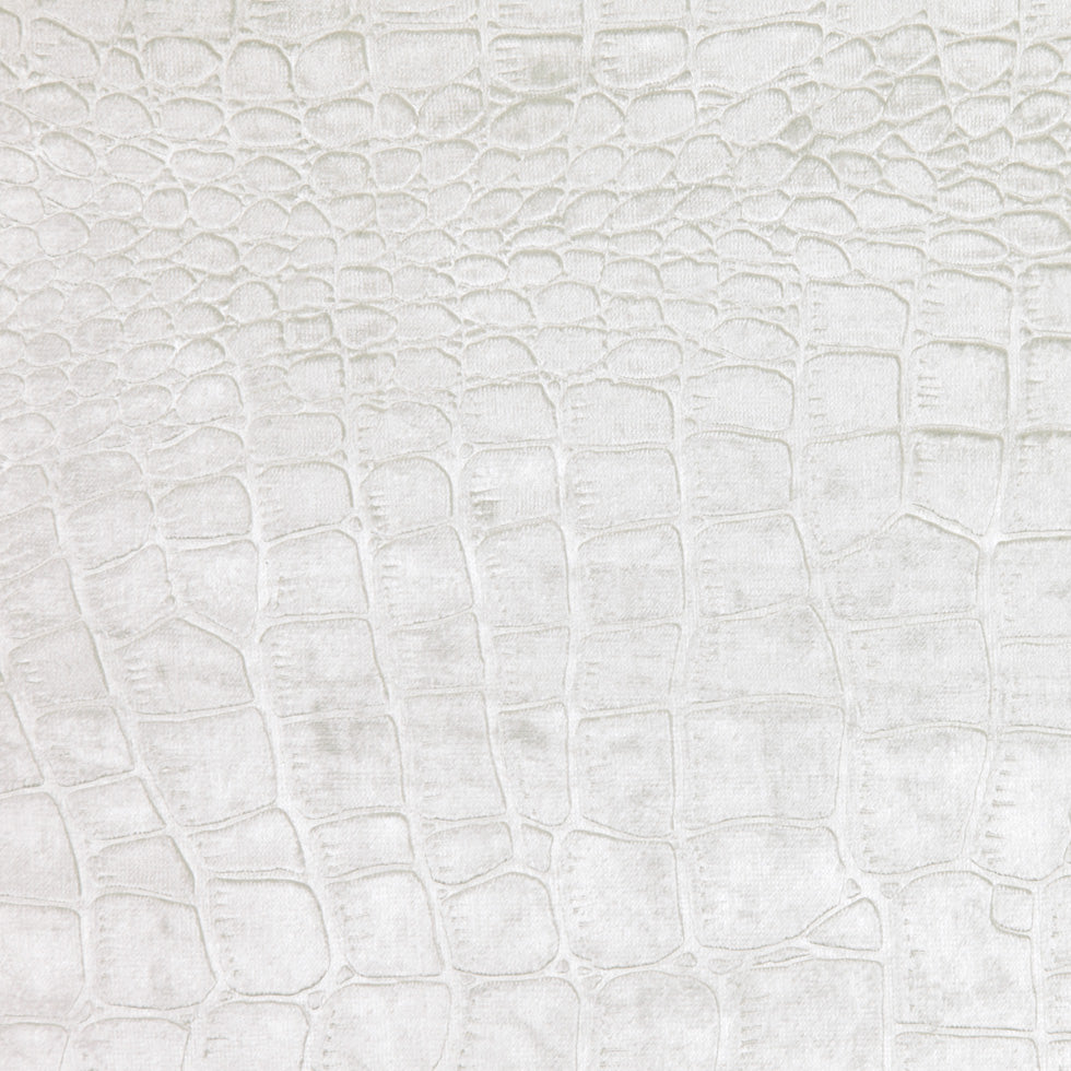 White Animal Velvet White Animal Velvet