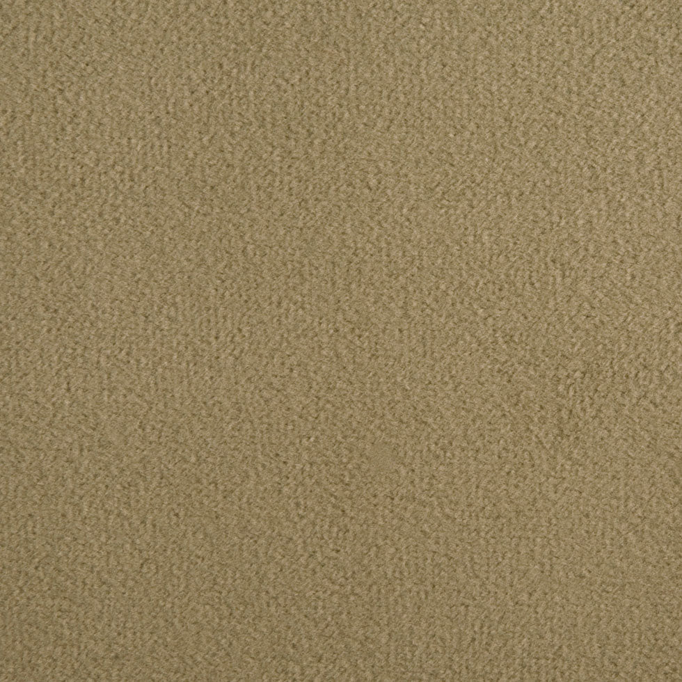 Dark Khaki Solid Velvet Detail Dark Khaki Solid Velvet Detail