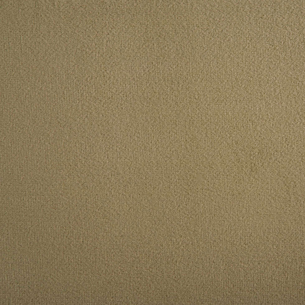 Dark Khaki Solid Velvet Dark Khaki Solid Velvet