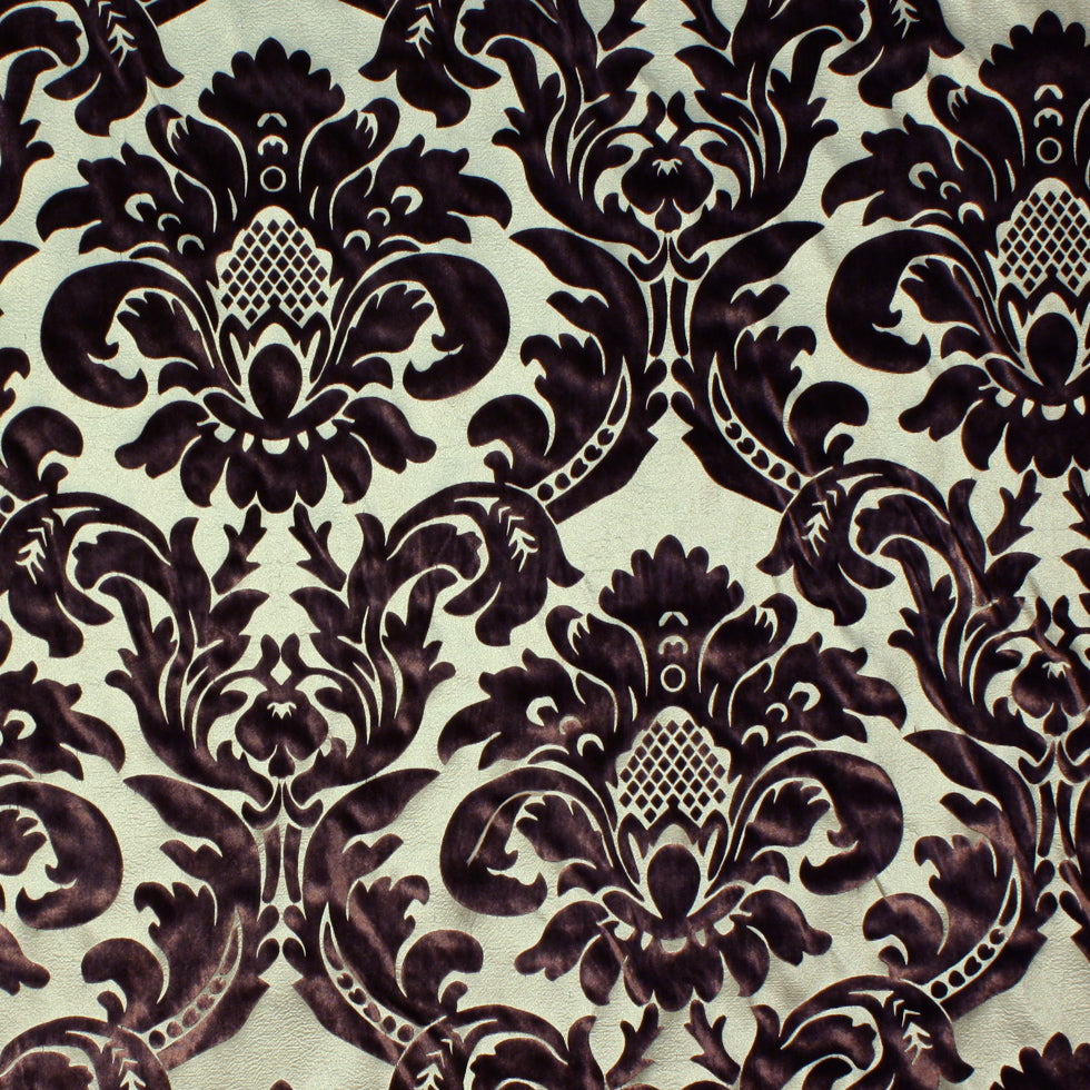 Chocolate/Royal Gold Floral Velvet Chocolate/Royal Gold Floral Velvet