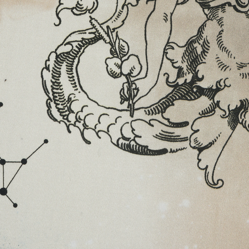 Stretch Cotton Sateen - Beige Celestial Birds - Apollo's Disguise Beige Print - Mood Exclusive Gaia Collection Stretch Cotton Sateen - Beige Celestial Birds - Apollo's Disguise Beige Print - Mood Exclusive Gaia Collection