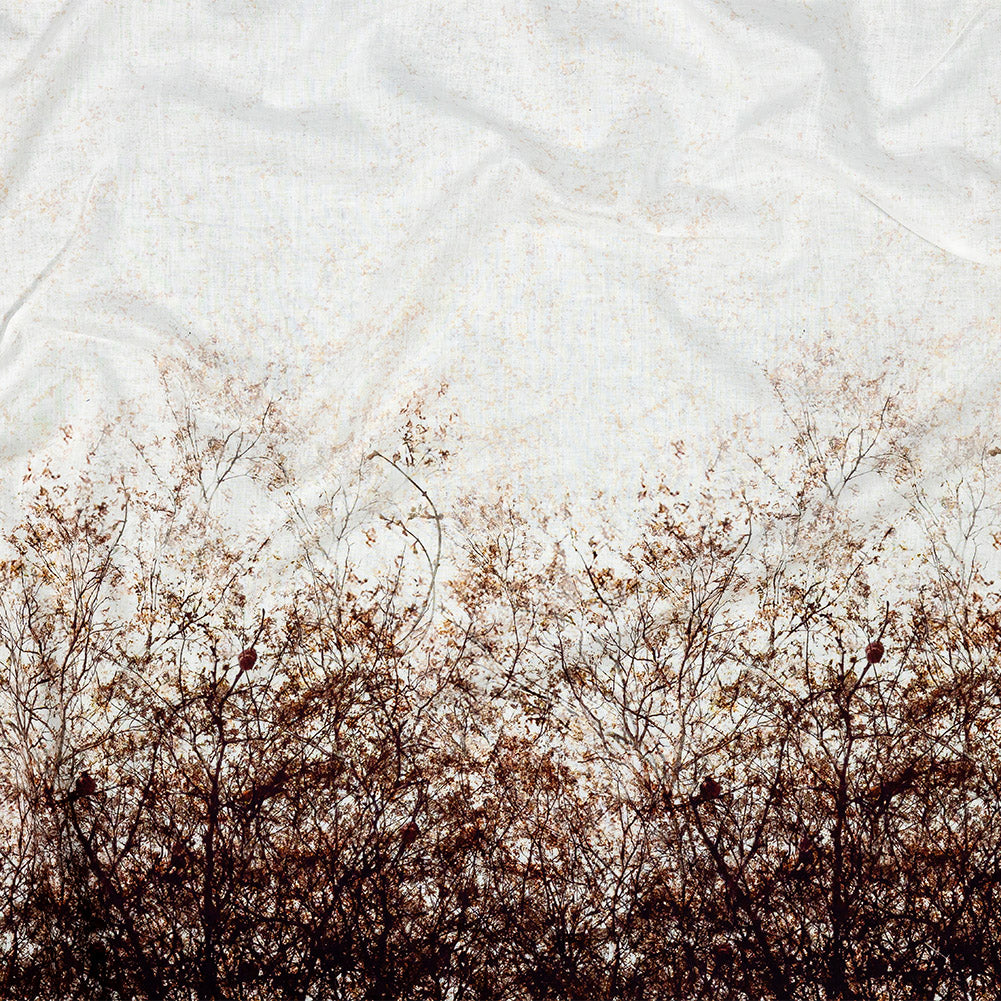 Mood Exclusive Celestial Canopy White Cotton Voile Mood Exclusive Celestial Canopy White Cotton Voile