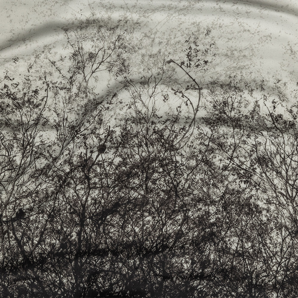 Rayon Challis Panel - Black and White Tree Branches - Old House Woods Print - Mood Exclusive Twilight Collection Rayon Challis Panel - Black and White Tree Branches - Old House Woods Print - Mood Exclusive Twilight Collection