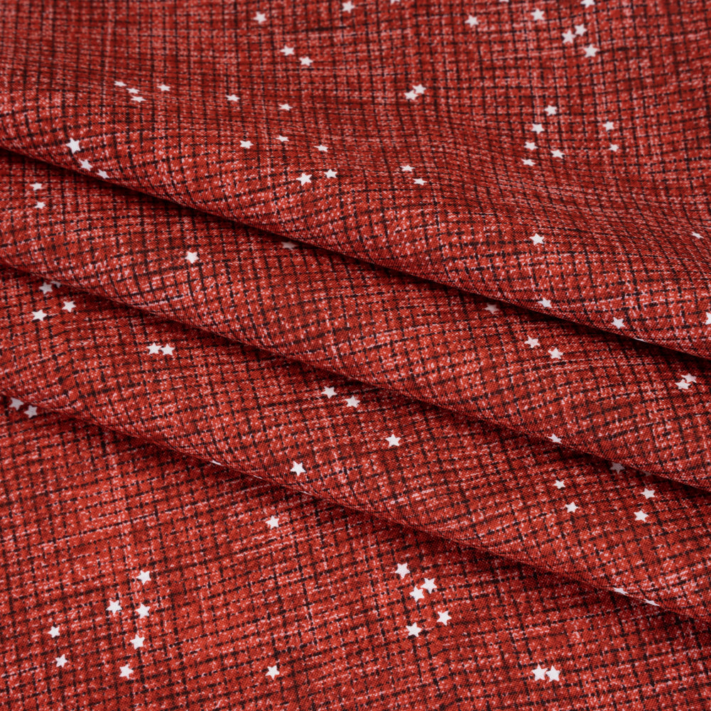 Printed Quilting Cotton by Ghazal Razavi for FIGO Studio - Red Checks and Stars - Stash Collection - Detail Printed Quilting Cotton by Ghazal Razavi for FIGO Studio - Red Checks and Stars - Stash Collection - Detail